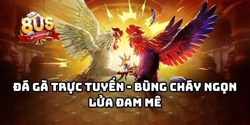8US 26 Đá gà trực tuyến - Bùng cháy ngọn lửa đam mê